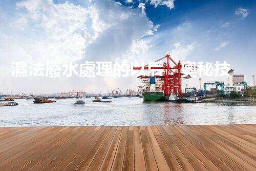 濕法廢水處理的以后：奧秘技術(shù)帶來驚喜？